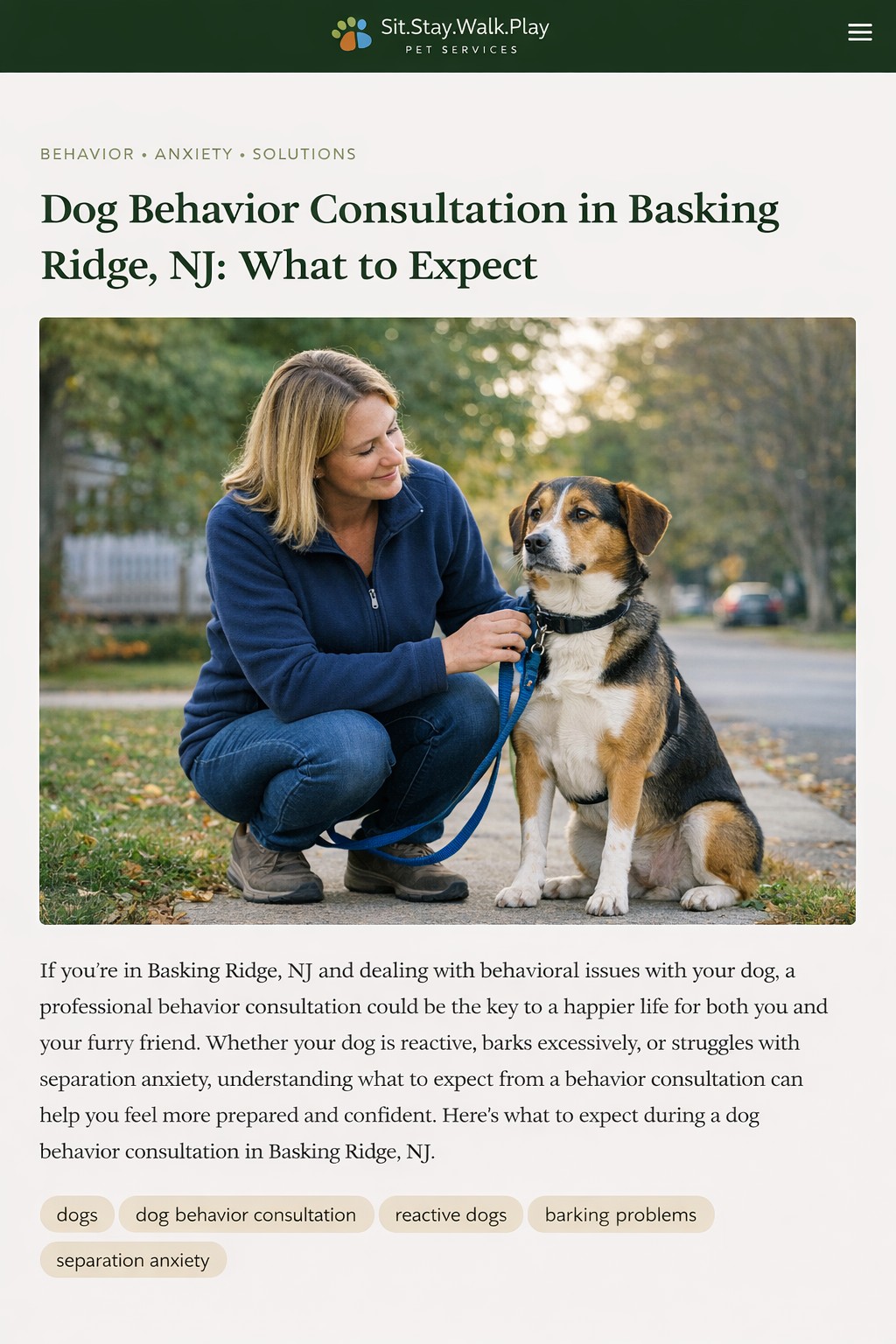 Dog Behavior Consultation in Basking Ridge, NJ: What to Expect