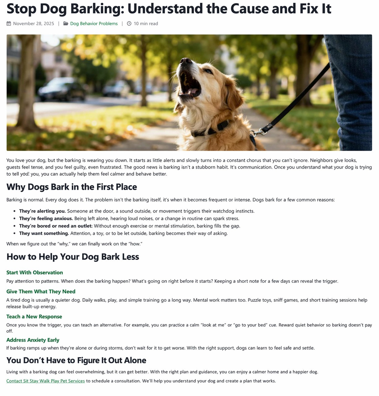 Dog Behavior Consultation: What to Expect and How It Helps